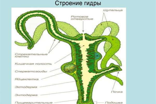 Ссылка на кракен в тор браузере