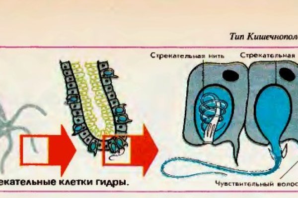 Кракен наркоз магазин