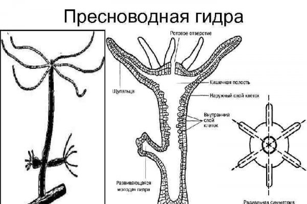 Кракен зеркало рабочее на сегодня krakenat2krnkrnk com